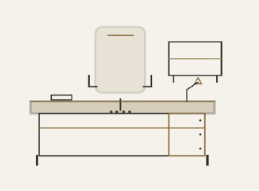 Director - Executive Desk